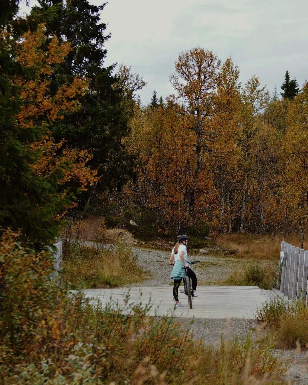 Sykkel høst