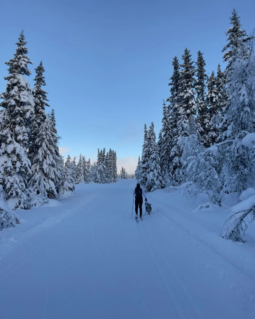 Øyerfjellet snødekt langrenn