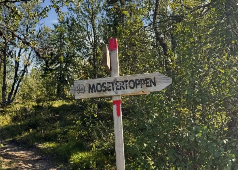 Mosetertoppen skilt i fjellet