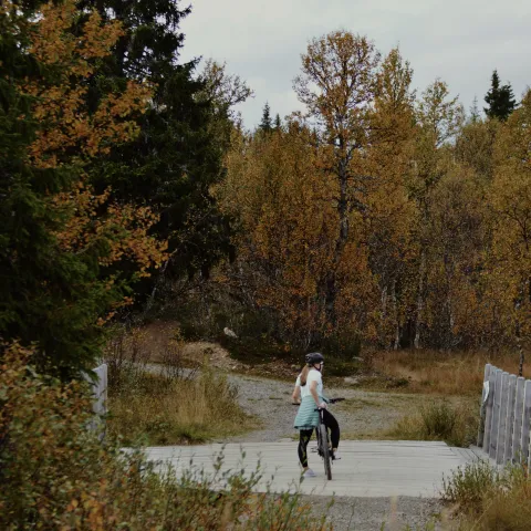 Person på sykkel på fjellet om høsten