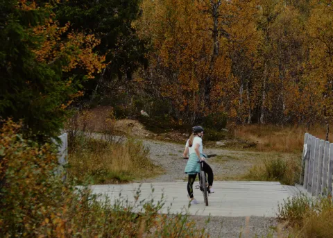 Sykkel om høsten