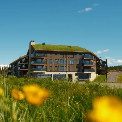 Mosetertoppen Skistadion i sommeridyll med gress og blomster i forgrunnen
